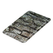 Blaf deze oude boom kan een geheim bewaren magneet (Linkerzijde)