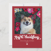 Blaf Humbug Hond Foto Grappige Kerstmis Feestdagenkaart (Voorkant)