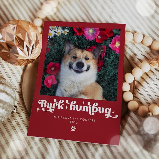 Blaf Humbug Hond Foto Grappige Kerstmis Feestdagenkaart