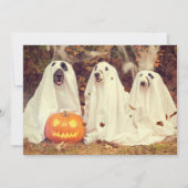 Blaf in het donkere Halloween feest voor HONDEN Feestdagenkaart (Voorkant)