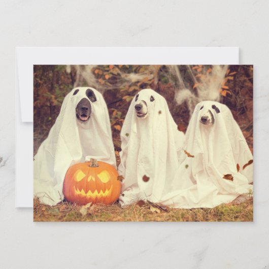 Blaf in het donkere Halloween feest voor HONDEN Feestdagenkaart (Voorkant)