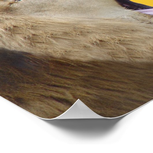 Blah, Blah, Blah! Lion Poster Print (Hoek)