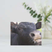 Blah Briefkaart (Staand voorkant)