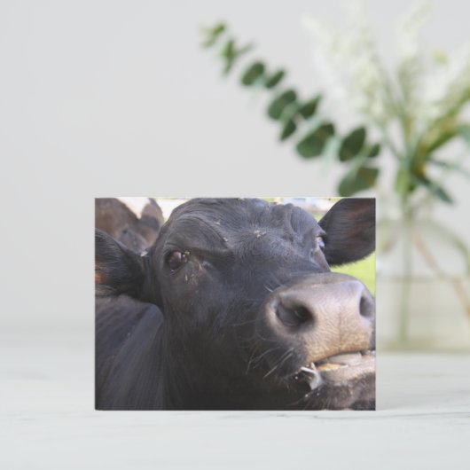 Blah Briefkaart (Staand voorkant)