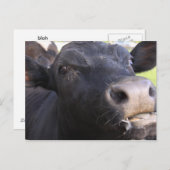 Blah Briefkaart (Voorkant / Achterkant)