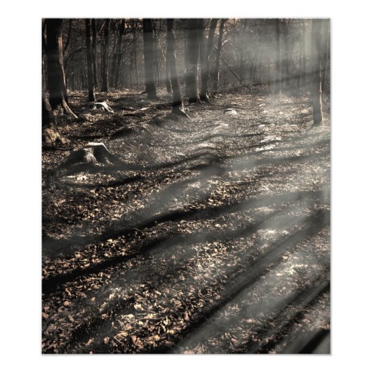 Blair Witch...Daar. Foto Afdruk (Voorkant)