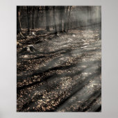 Blair Witch...Daar. Poster (Voorkant)