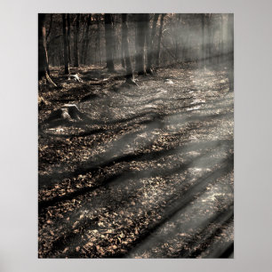 Blair Witch...Daar. Poster