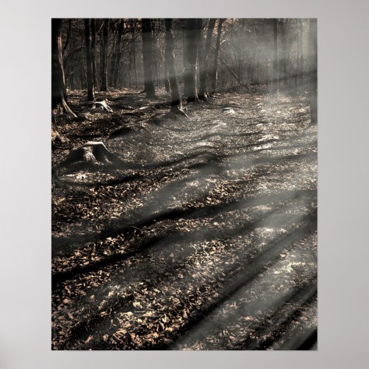 Blair Witch...Daar. Poster (Voorkant)