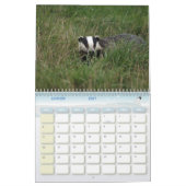 Blaireaux Calendar Badgers Forest Kalender (Jan 2027)