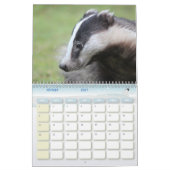 Blaireaux Calendar Badgers Forest Kalender (Feb 2027)