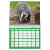 Blaireaux Calendar Badgers Forest Kalender (Mar 2027)