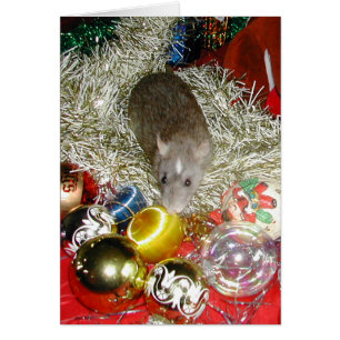 Blaize en de Baubles