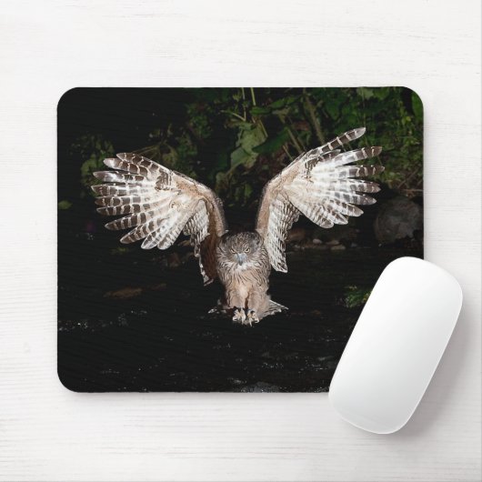Blakiston's fish owl muismat (Met muis)