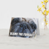 BLAM DE FURBALL! | ALLERGIE MEME KAART (Gele Bloem)