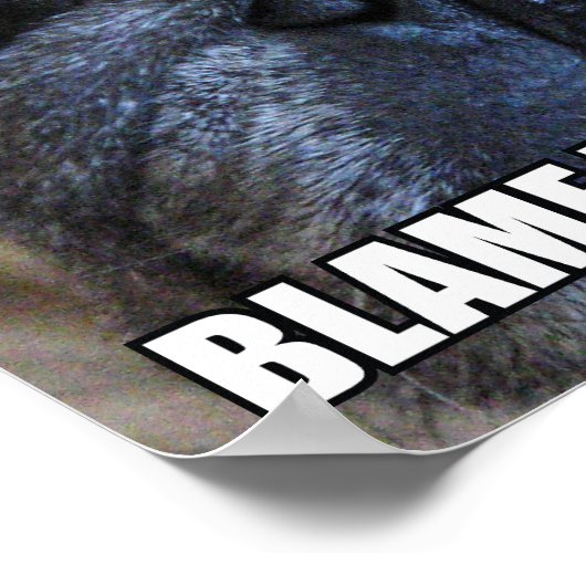 BLAM DE FURBALL! ALLERGY MEME POSTER (Hoek)