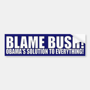 BLAME STRUIK! BUMPERSTICKER