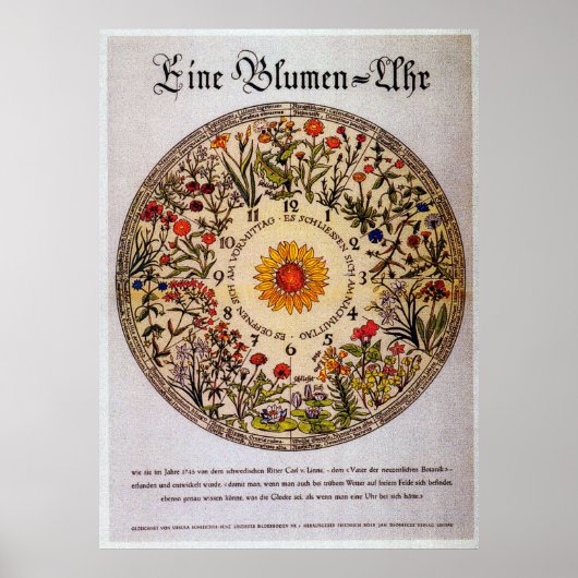 Blamenuhr Flower Clock 2 Art Poster (Voorkant)