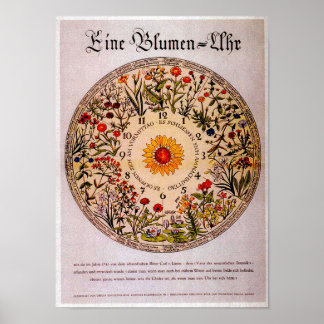 Blamenuhr Flower Clock  Art Poster