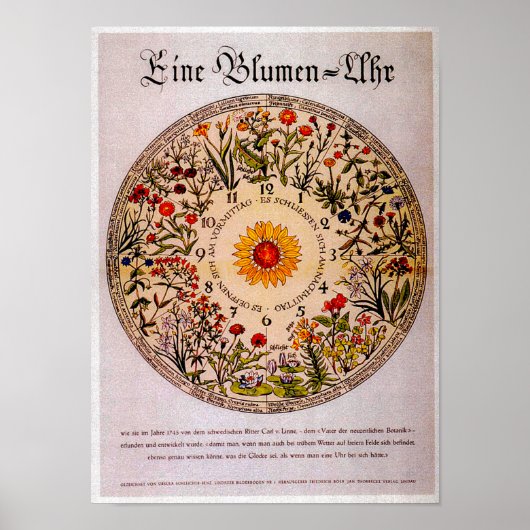 Blamenuhr Flower Clock  Art Poster (Voorkant)