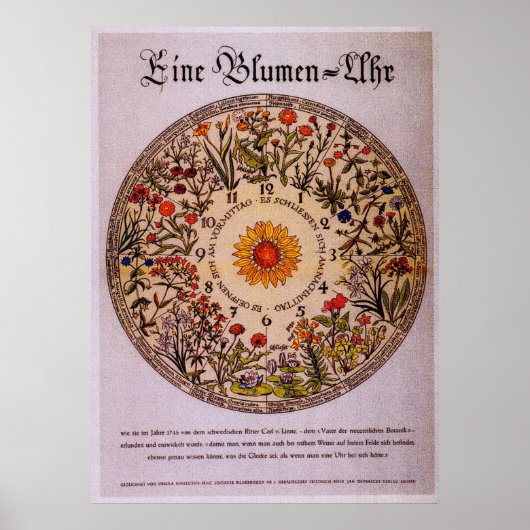 Blamenuhr Flower Clock  Art Poster (Voorkant)