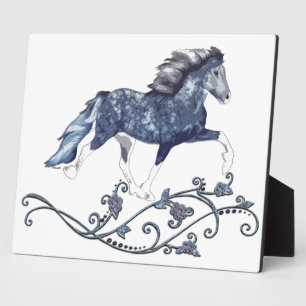 Blámóða Blue IJslands paard Fotoplaat