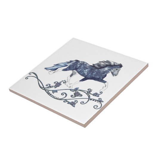 Blámóða Tegeltje (Zijkant)