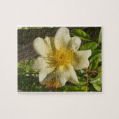 Blanca flor  legpuzzel (Horizontaal)
