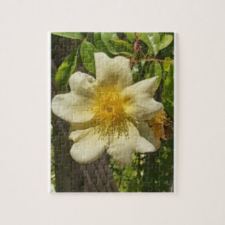 Blanca flor legpuzzel