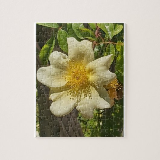 Blanca flor  legpuzzel (Verticaal)