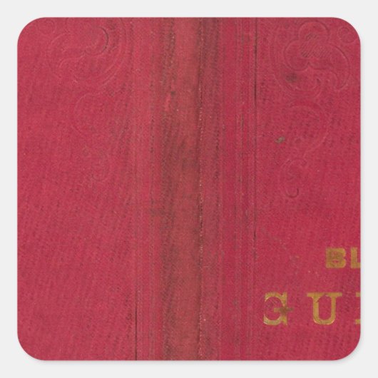Blanchard's gids van Chicago 2 Vierkante Sticker (Voorkant)