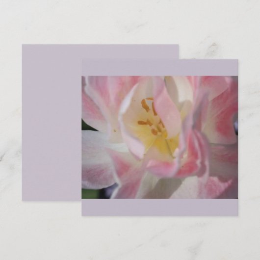 Blanco aanvinding kaart (Voorkant / Achterkant)