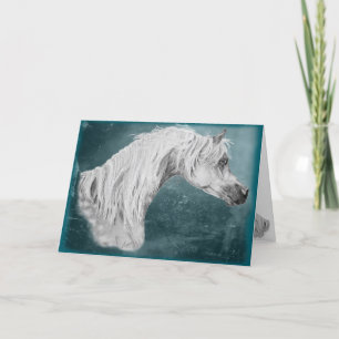  blanco Arabian Horse Kaart