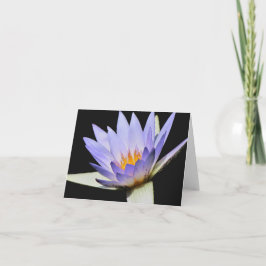 Blanco binnenkaart #7 00700 kaart