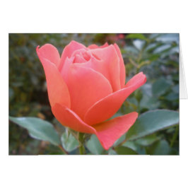 Blanco binnenste Wenskaart