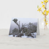 Blanco binnenste Wenskaart winterboom Kaart (Gele Bloem)