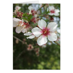 Blanco bloem Kaart