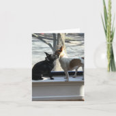 blanco briefkaart (Voorkant)