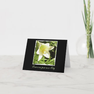 Blanco briefkaart