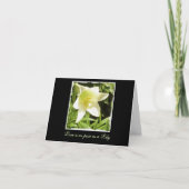 Blanco briefkaart (Voorkant)