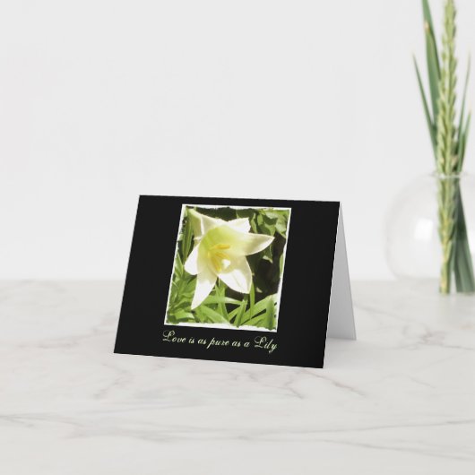 Blanco briefkaart (Voorkant)