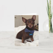 blanco briefkaart (Voorkant)