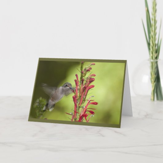 Blanco briefkaart (Voorkant)