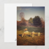 Blanco briefkaart (Voorkant / Achterkant)