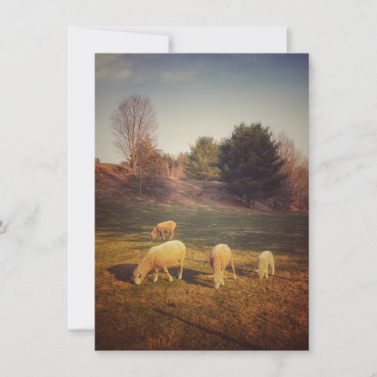 Blanco briefkaart (Voorkant)