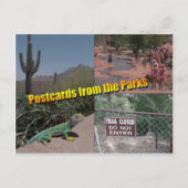 Blanco Briefkaart (Voorkant)