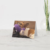 blanco briefkaart (Voorkant)