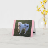 Blanco briefkaart met Australian Shepherd (Gele Bloem)