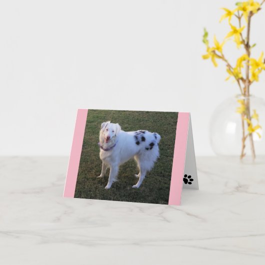 Blanco briefkaart met Australian Shepherd (Gele Bloem)