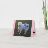 Blanco briefkaart met Australian Shepherd (Voorkant)